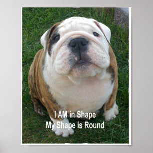 Poster de chien drôle Bulldog Chien de compagnie C