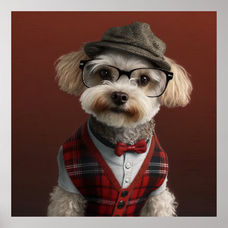 Poster de Chien Hipster de Maltipoa