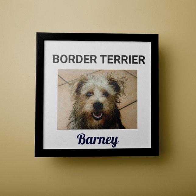 Poster de chien personnalisé de la frontière Terri (Créateur téléchargé)