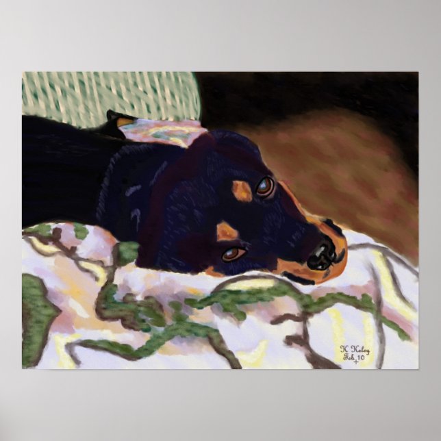 Poster de Chien Tired (Devant)