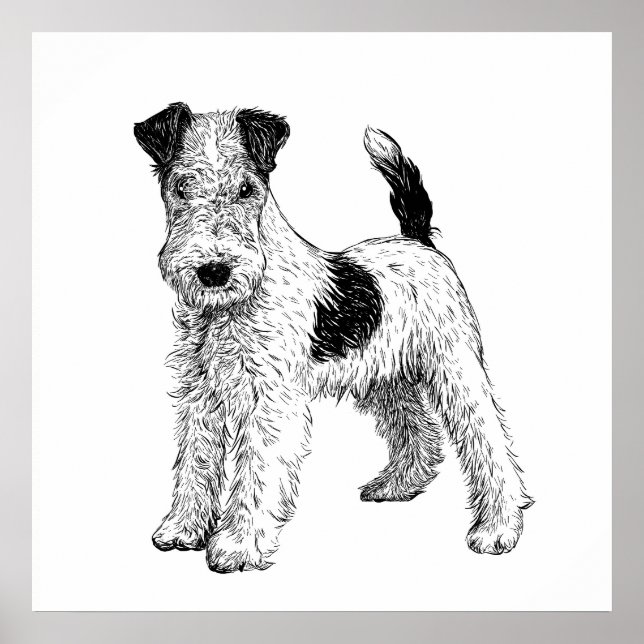 Poster de chien / Wall Art Fox Terrier (Devant)