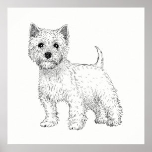 Poster de chien / Wall Art West Highland Terrier