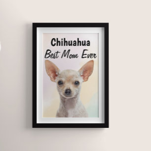 Poster de Chihuahua Best Mom