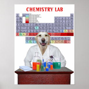 Poster de chimie drôle de laboratoire pour les ens