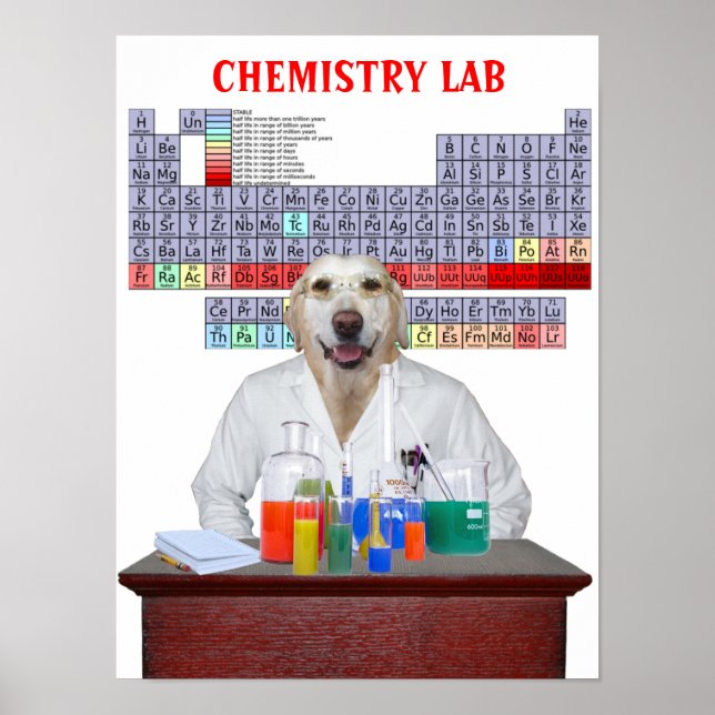 Poster de chimie drôle de laboratoire pour les ens (Devant)