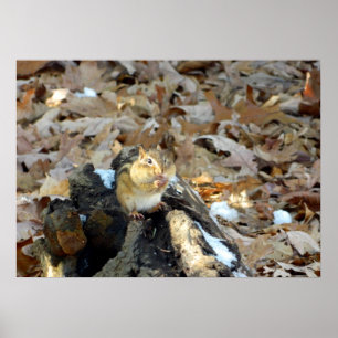 Poster de Chipmunk Cheeks Nature