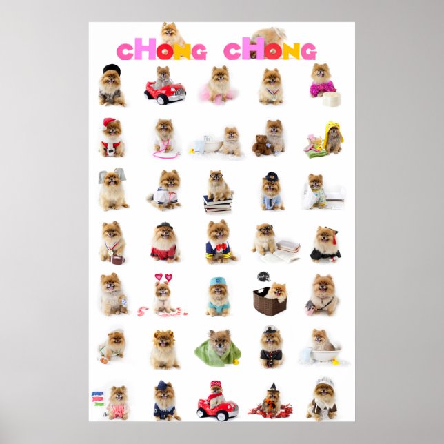 Poster de Chong Chong (Devant)