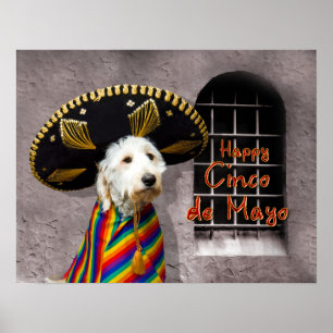 Poster de Cinco de Mayo - Chien en Sombrero - Humo