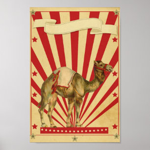 Poster de cirque personnalisé