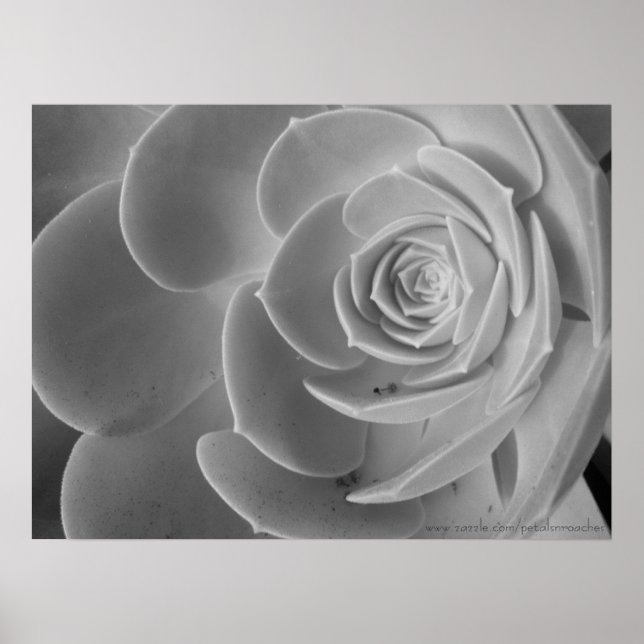 Poster de clôture (Devant)