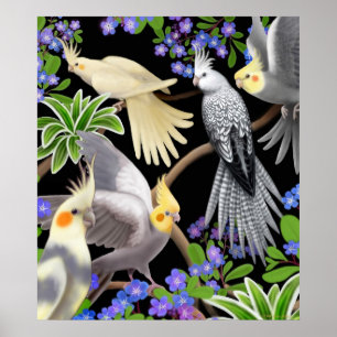 Poster de Cockatiels et Forget Me Nots