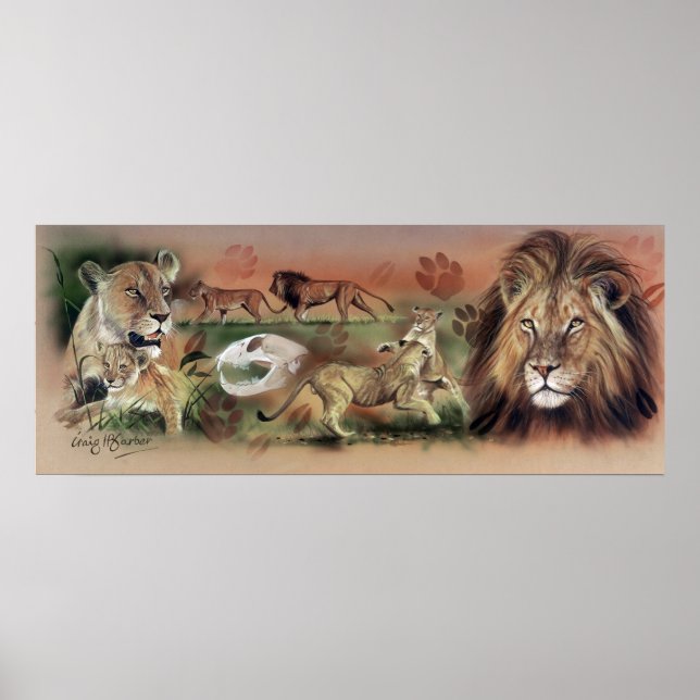 Poster de collection de lions (Devant)