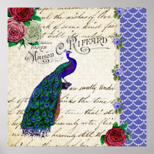 Poster de collection Peacock vintage