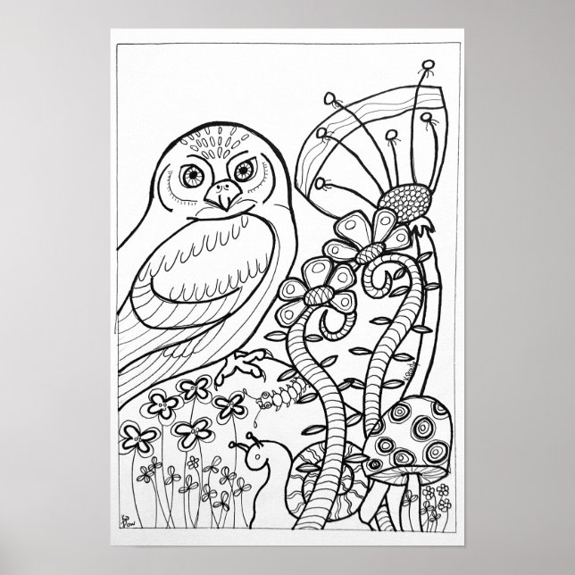 Poster de coloriage 13x19 avec hibou (Devant)