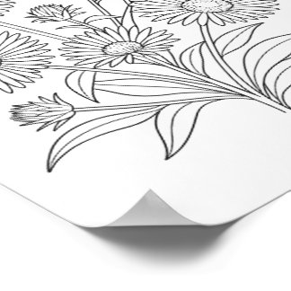 Poster de coloriage Aster de la Nouvelle-Angleterr