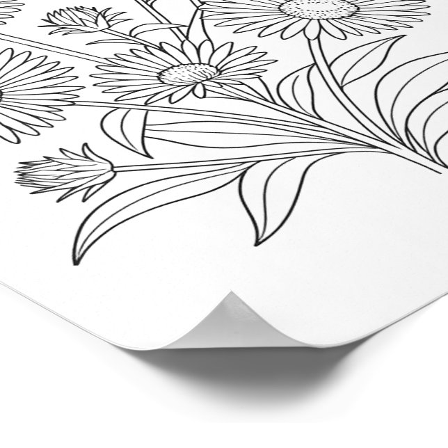 Poster de coloriage Aster de la Nouvelle-Angleterr (Coin)