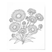 Poster de coloriage Aster de la Nouvelle-Angleterr