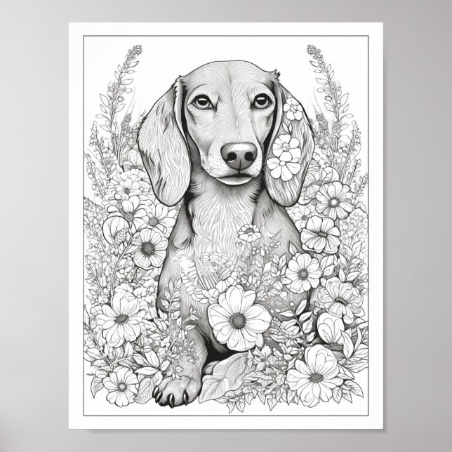 Poster de coloriage de Chien de Cute Dachshund (Devant)