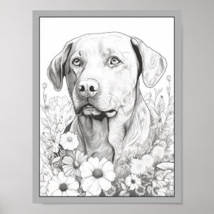 Poster de coloriage pour chien de trieur du Labrad