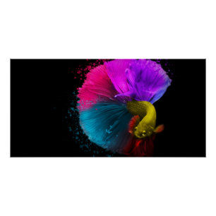 Poster de Combat Fish