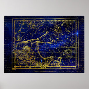 poster de constellation de chevaux et dauphins