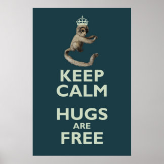 Poster de Copernicus-le-singe homicide