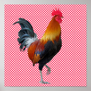 Poster de coq à chaîne colorée