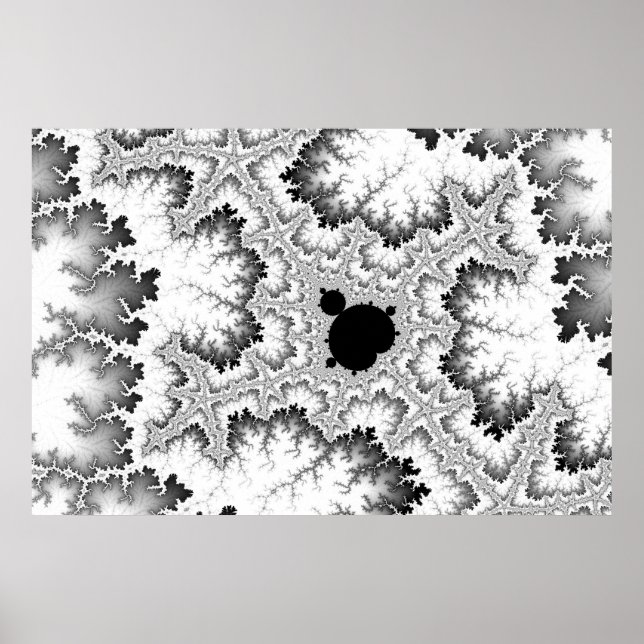 Poster de corail noir (Devant)