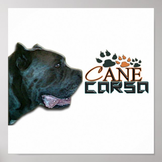 Poster de Corso Cane(P) (Devant)