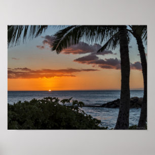 Poster de coucher de soleil tropical hawaïen