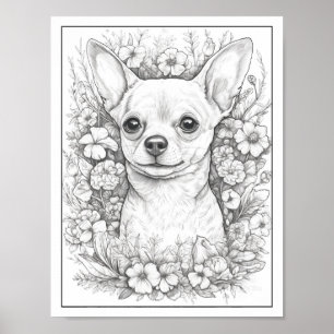 Poster de couleur Chihuahua Chig Cute