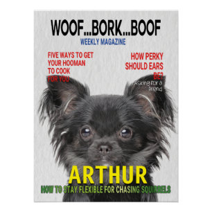 Poster de couverture du magazine Chihuahua Parody