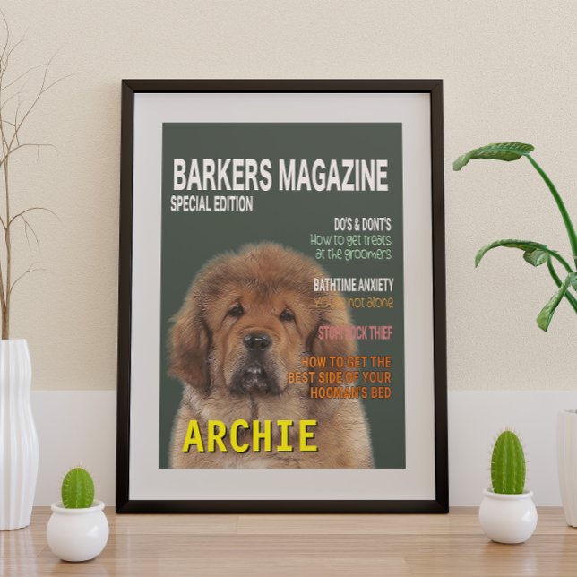 Poster de couverture du magazine Tibétain Mastiff (Créateur téléchargé)
