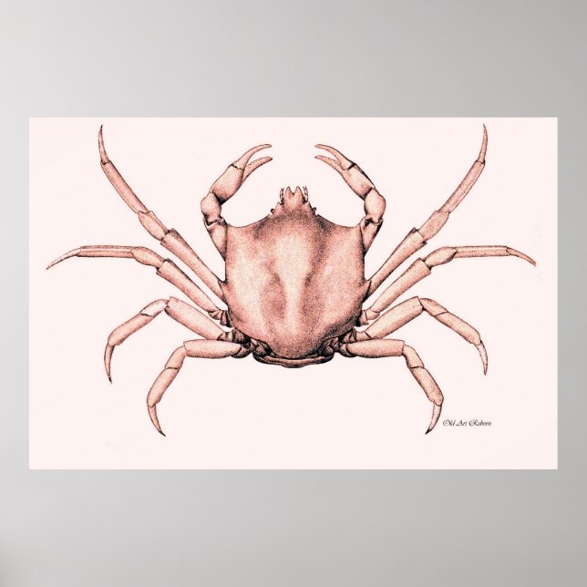 Poster de crabe Corab (Devant)