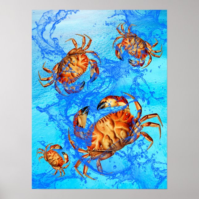 Poster de crabes de Dungeness (Devant)