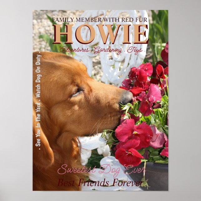 Poster de création Pet Star (Devant)