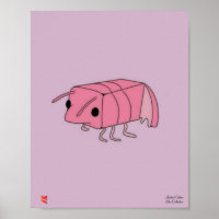 Poster de crevettes Limitée