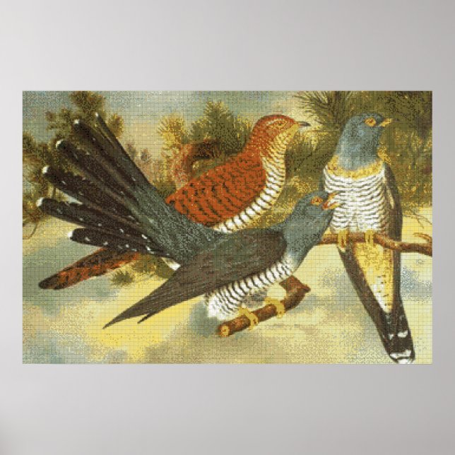 Poster de Cuckoo Birds with Modern Art (Devant)
