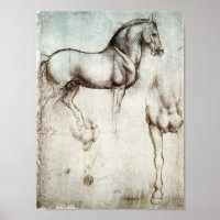 Poster de Da Vinci Horse