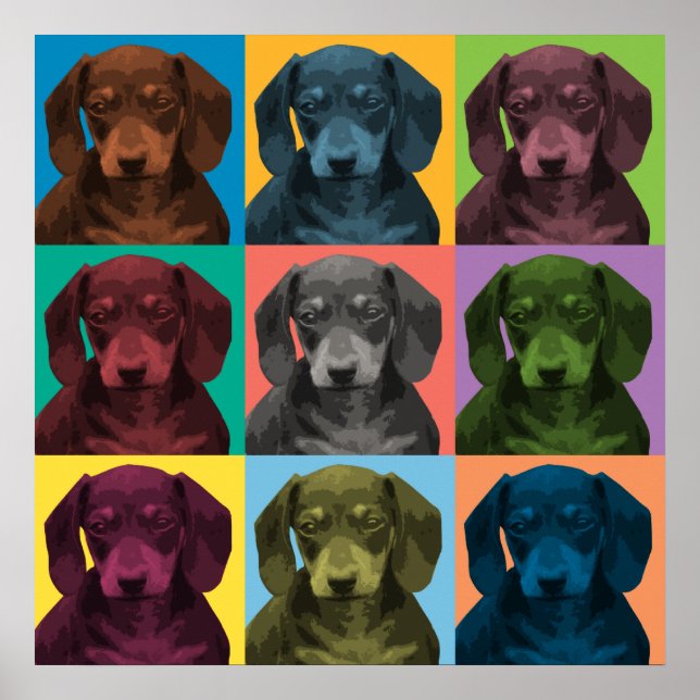 Poster de Dachshund Pop-Art (Devant)