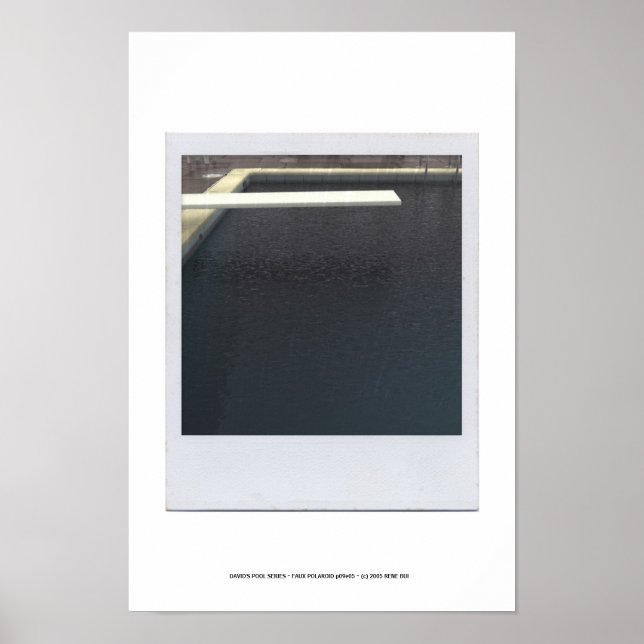 Poster de DAVID'S POOL SERIES p09e05 (Devant)