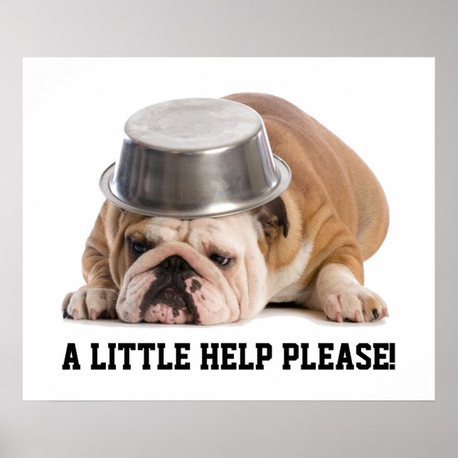 Poster de demande d'aide (Devant)