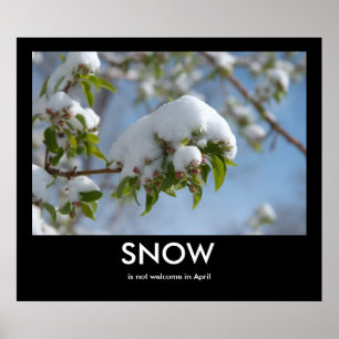 Poster de démotivation de la neige d'avril