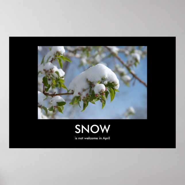 Poster de démotivation de la neige d'avril (Devant)