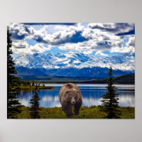 POSTER DE DENALI PARK ALASKA
