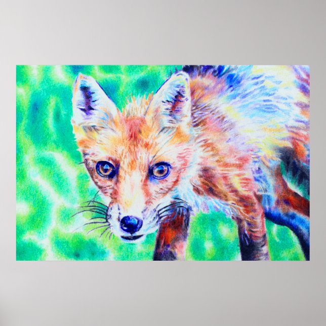 Poster de dessin au crayon couleur renard (Devant)