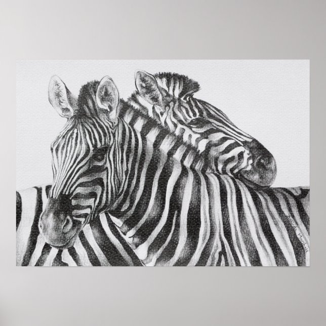 Poster de dessin au crayon original Zebra (Devant)