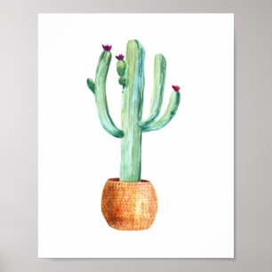 Poster de dessin d'aquarelle de cactus du désert