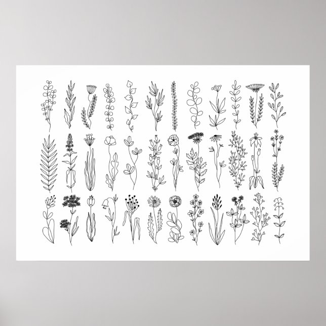 Poster De Dessin De Fleurs Et Herbes D'Encre (Devant)