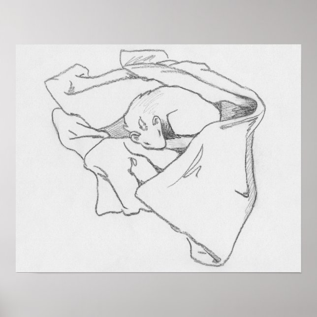 Poster de dessin de furet "Dragon dormant" (Devant)